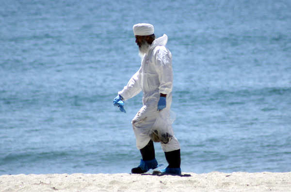Rena Disaster, Oil Spill, Tauranga, New Zealand