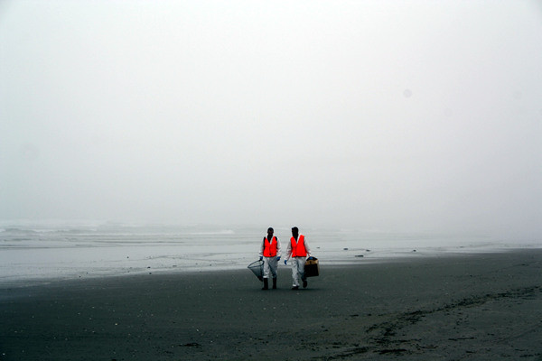 Rena Disaster, Oil Spill, Tauranga, New Zealand