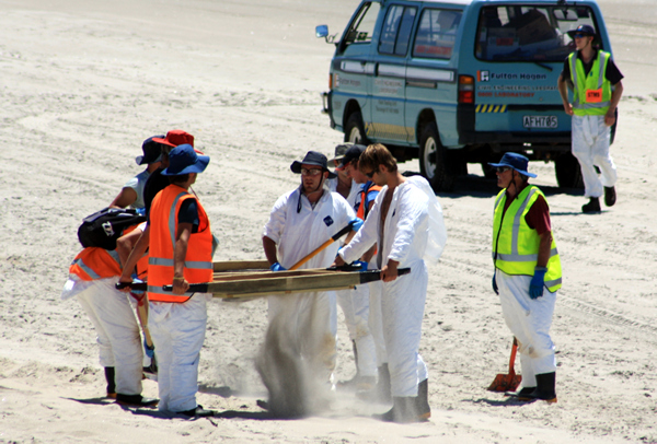 Rena Disaster, Oil Spill, Tauranga, New Zealand