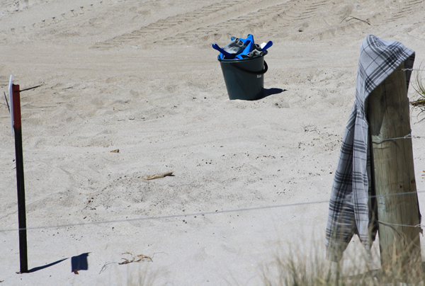 Rena Disaster, Oil Spill, Tauranga, New Zealand