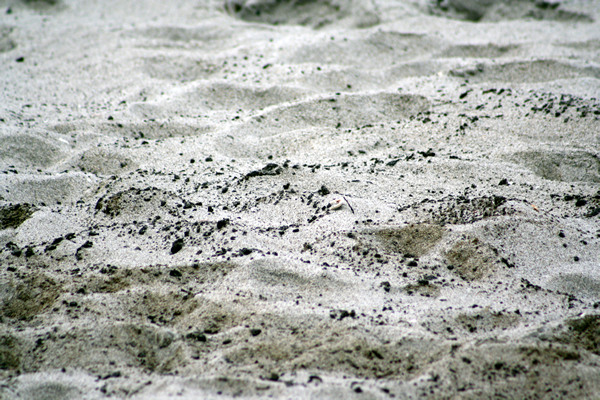 Rena Disaster, Oil Spill, Tauranga, New Zealand