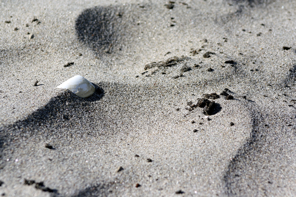 Rena Disaster, Oil Spill, Tauranga, New Zealand