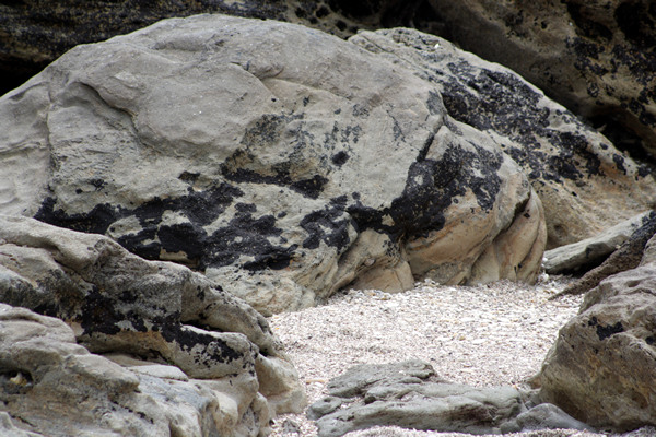 Rena Disaster, Oil Spill, Tauranga, New Zealand