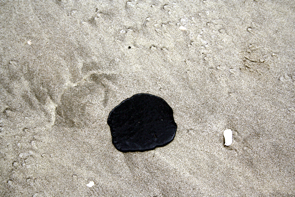 Rena Disaster, Oil Spill, Tauranga, New Zealand