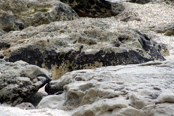 Rena Disaster, Oil Spill, Tauranga, New Zealand