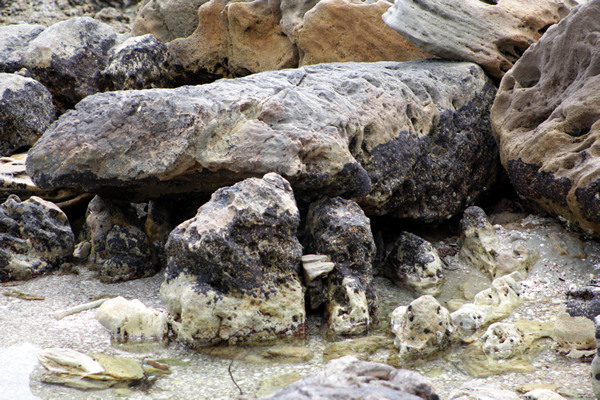 Rena Disaster, Oil Spill, Tauranga, New Zealand