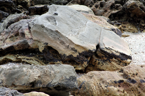 Rena Disaster, Oil Spill, Tauranga, New Zealand