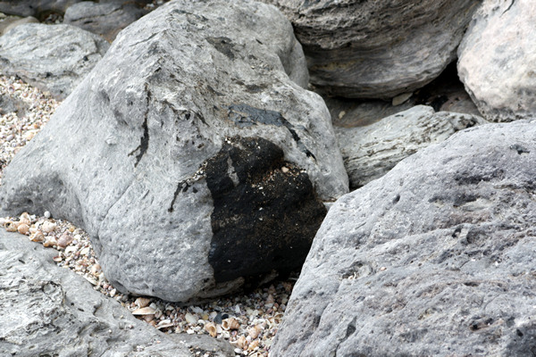 Rena Disaster, Oil Spill, Tauranga, New Zealand
