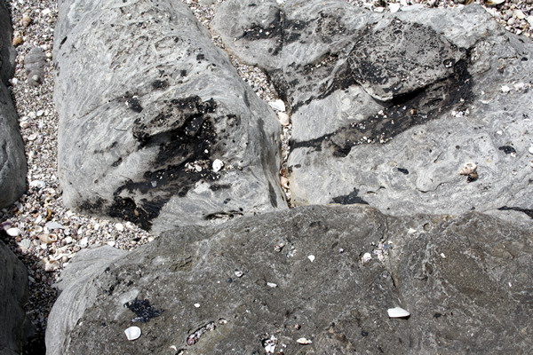 Rena Disaster, Oil Spill, Tauranga, New Zealand