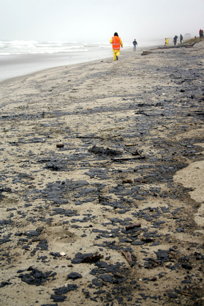 Rena Disaster, Oil Spill, Tauranga, New Zealand