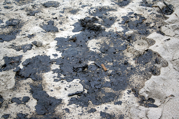 Rena Disaster, Oil Spill, Tauranga, New Zealand