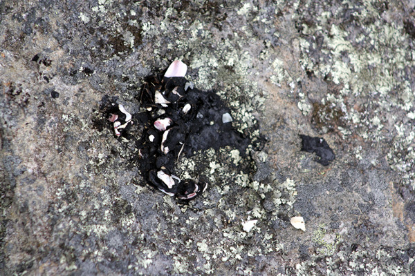 Rena Disaster, Oil Spill, Tauranga, New Zealand