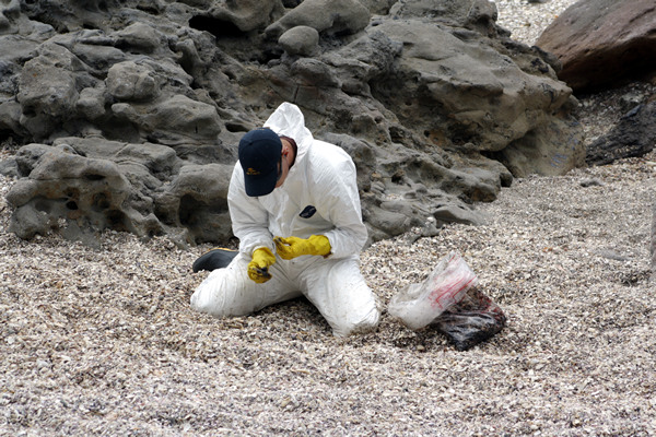 Rena Disaster, Oil Spill, Tauranga, New Zealand