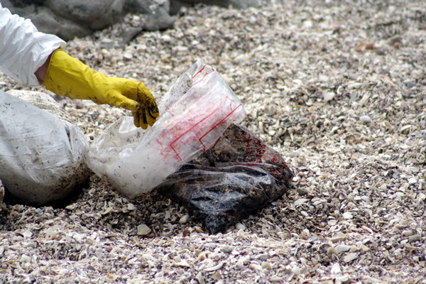 Rena Disaster, Oil Spill, Tauranga, New Zealand