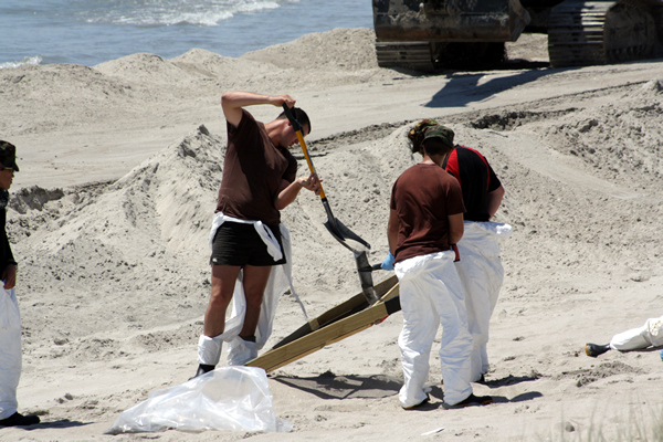 Rena Disaster, Oil Spill, Tauranga, New Zealand