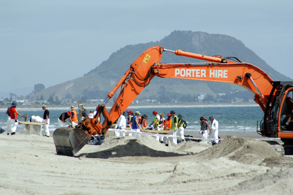 Richard Moore, On Papamoa Beach, Rena Disaster, Oil Spill, Tauranga, New Zealand