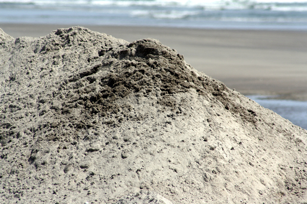Richard Moore, On Papamoa Beach, Rena Disaster, Oil Spill, Tauranga, New Zealand