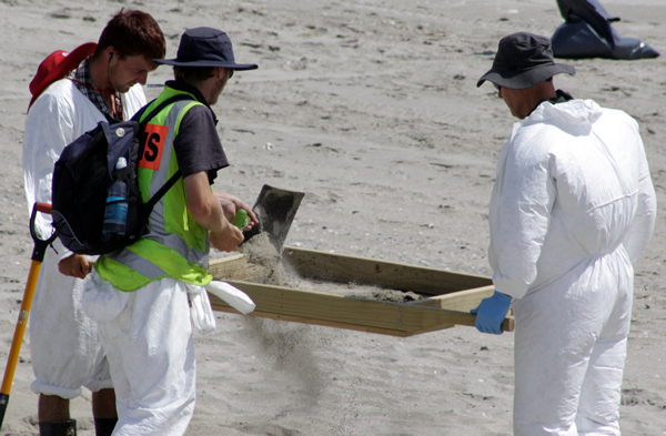 Richard Moore, On Papamoa Beach, Rena Disaster, Oil Spill, Tauranga, New Zealand