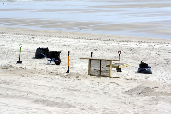 Richard Moore, On Papamoa Beach, Rena Disaster, Oil Spill, Tauranga, New Zealand