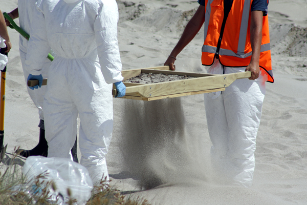 Richard Moore, On Papamoa Beach, Rena Disaster, Oil Spill, Tauranga, New Zealand