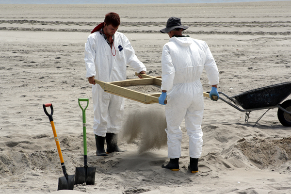 Richard Moore, On Papamoa Beach, Rena Disaster, Oil Spill, Tauranga, New Zealand