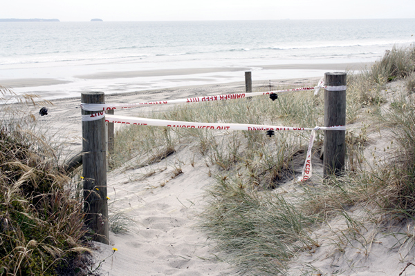 Richard Moore, On Papamoa Beach, Rena Disaster, Oil Spill, Tauranga, New Zealand