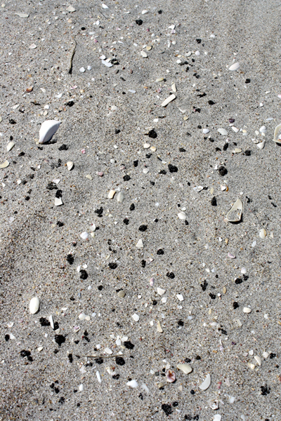 Richard Moore, On Papamoa Beach, Rena Disaster, Oil Spill, Tauranga, New Zealand