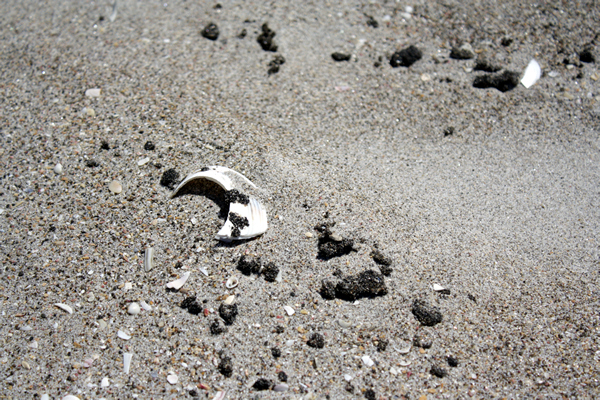Richard Moore, On Papamoa Beach, Rena Disaster, Oil Spill, Tauranga, New Zealand