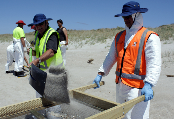 Oil Clean Up, Papamoa Beach, Rena Disaster, Oil Spill, Tauranga, New Zealand
