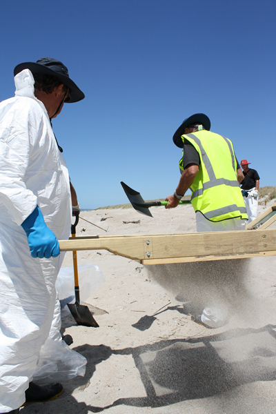 Oil Clean Up, Papamoa Beach, Rena Disaster, Oil Spill, Tauranga, New Zealand