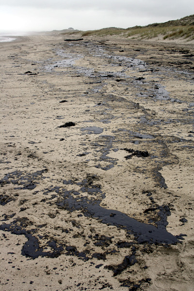 Rena Disaster, Oil Spill, Tauranga, New Zealand