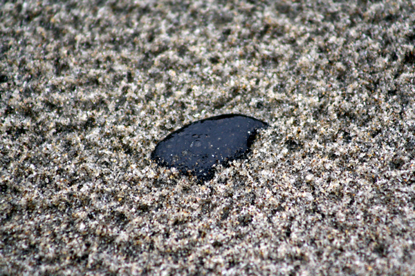 Oil, Papamoa Beach, Rena Disaster, Oil Spill, Tauranga, New Zealand