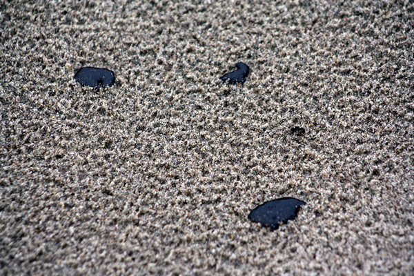 Oil, Papamoa Beach, Rena Disaster, Oil Spill, Tauranga, New Zealand