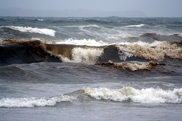 Oil, Papamoa Beach, Rena Disaster, Oil Spill, Tauranga, New Zealand