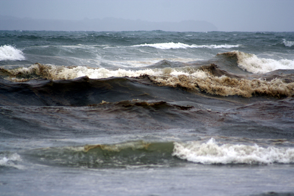 Oil, Papamoa Beach, Rena Disaster, Oil Spill, Tauranga, New Zealand