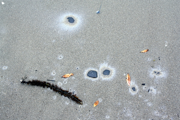 Oil, Papamoa Beach, Rena Disaster, Oil Spill, Tauranga, New Zealand