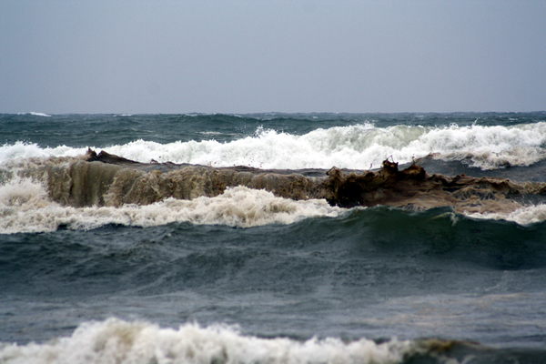Oil, Papamoa Beach, Rena Disaster, Oil Spill, Tauranga, New Zealand