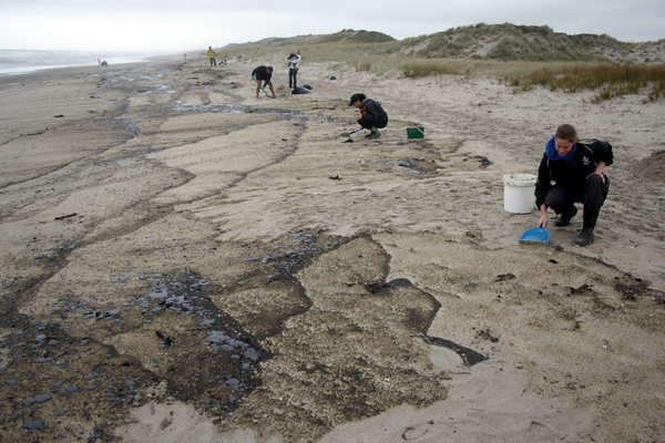 Rena Disaster, Oil Spill, Tauranga, New Zealand