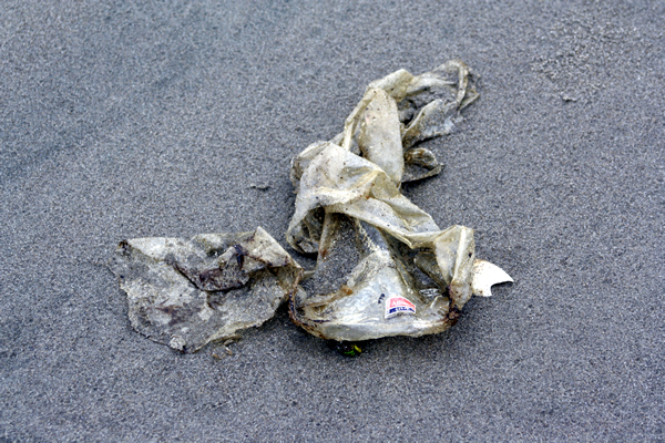 Meat Wrapper, Papamoa Beach, Rena Disaster, Oil Spill, Tauranga, New Zealand