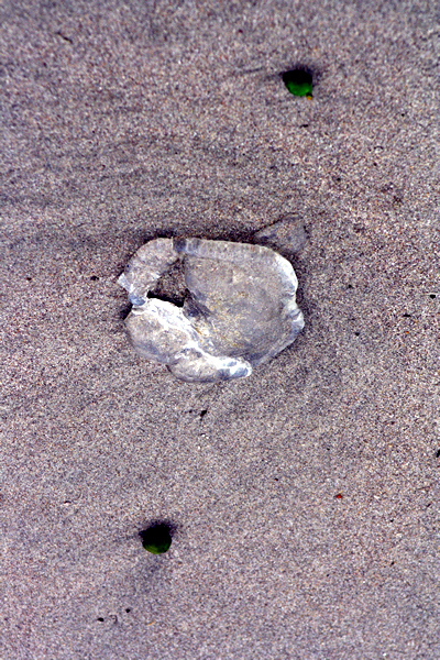  Papamoa Beach, Rena Disaster, Oil Spill, Tauranga, New Zealand