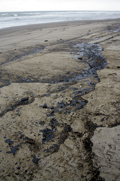 Rena Disaster, Oil Spill, Tauranga, New Zealand