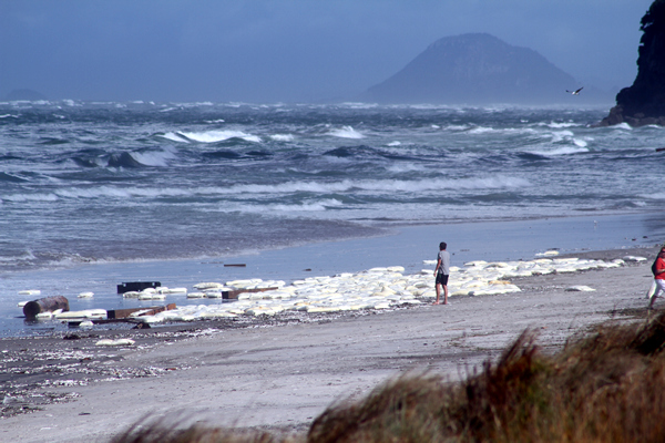 Wreckage, Rena Disaster, Oil Spill, Tauranga, New Zealand