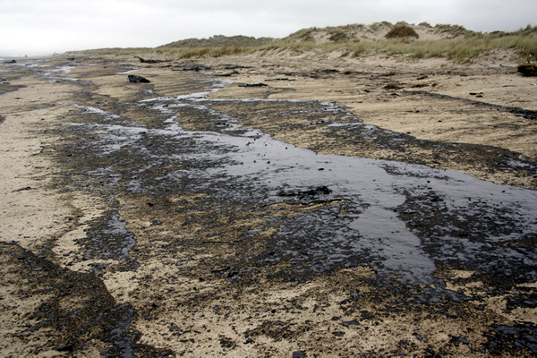 Rena Disaster, Oil Spill, Tauranga, New Zealand