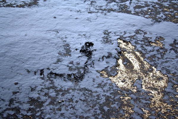 Rena Disaster, Oil Spill, Tauranga, New Zealand