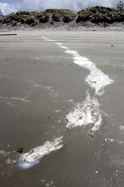 Wreckage, Rena Disaster, Oil Spill, Tauranga, New Zealand