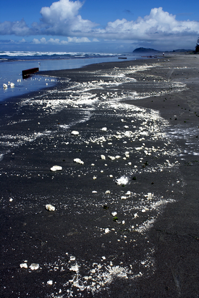 Wreckage, Rena Disaster, Oil Spill, Tauranga, New Zealand