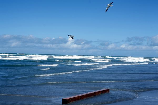Wreckage, Rena Disaster, Oil Spill, Tauranga, New Zealand