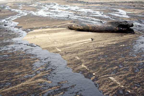 Rena Disaster, Oil Spill, Tauranga, New Zealand