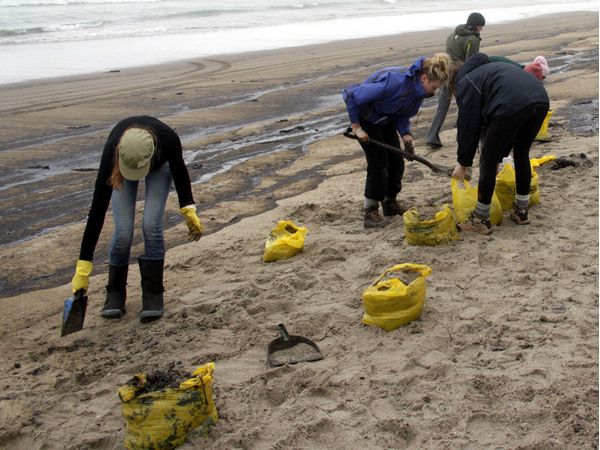 Rena Disaster, Oil Spill, Tauranga, New Zealand