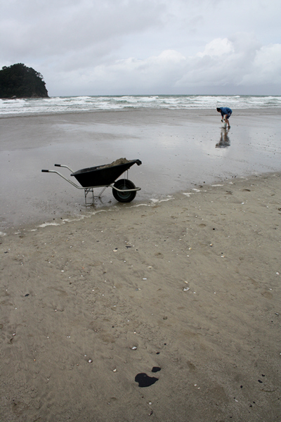 Rena Disaster, Oil Spill, Tauranga, New Zealand